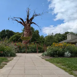 Howell Nature Center - Brighton