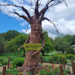 Howell Nature Center - Brighton