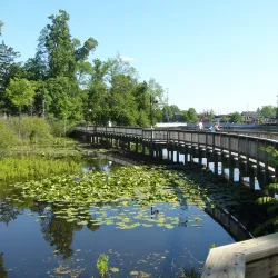 Mill Pond Park - Brighton