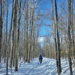 Cadillac Pathway - Cadillac