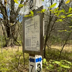 Cadillac Pathway - Cadillac