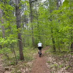 Cadillac Pathway - Cadillac