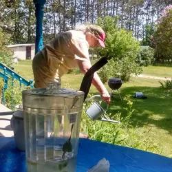 Downtown Cadillac - Cadillac