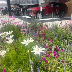 Downtown Cadillac - Cadillac