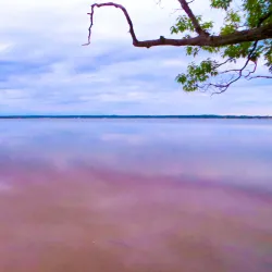 Lake Mitchell - Cadillac