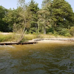 Mitchell State Park - Cadillac