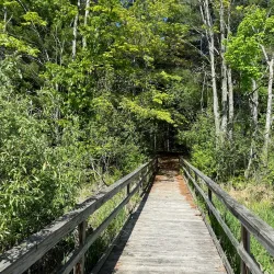 Mitchell State Park - Cadillac