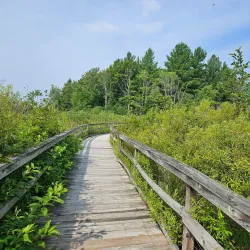 Mitchell State Park - Cadillac