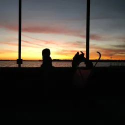 The Playhouse in the Park - Cadillac