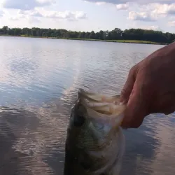 Eaton Rapids Nature Trail - Charlotte