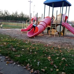 Foster Park - Charlotte