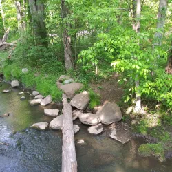 Foster Park - Charlotte