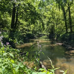 Pine Ridge Park - Charlotte