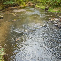 Pine Ridge Park - Charlotte