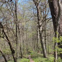 Pine Ridge Park - Charlotte