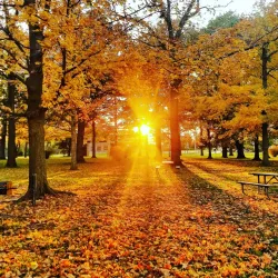 Pine Ridge Park - Charlotte