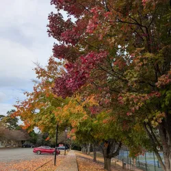 Veterans Memorial Park - Charlotte