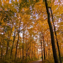 Clinton River Park - Clinton Township