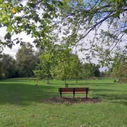 Clinton Township Community Center - Clinton Township