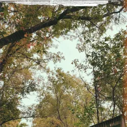 Macomb Orchard Trail - Clinton Township