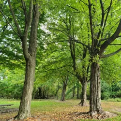 Marshbank Park - Clinton Township