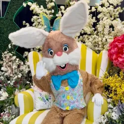 The Mall at Partridge Creek - Clinton Township