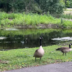 Commerce Township Nature Trails - Commerce