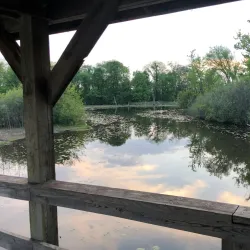 Commerce Township Nature Trails - Commerce