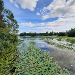 Commerce Township Nature Trails - Commerce