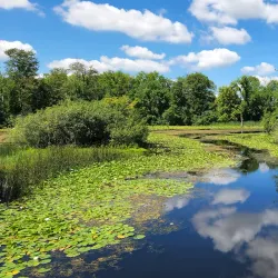 Commerce Township Nature Trails - Commerce