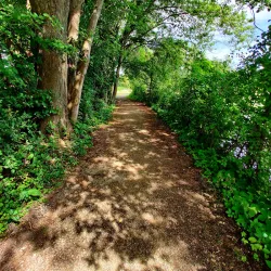 Commerce Township Nature Trails - Commerce