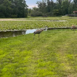 Commerce Township Nature Trails - Commerce