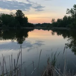 Commerce Township Nature Trails - Commerce