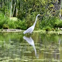 Commerce Township Nature Trails - Commerce
