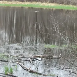Duck Lake Park - Commerce
