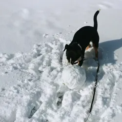 Duck Lake Park - Commerce