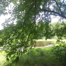 Duck Lake Park - Commerce