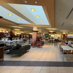 Twelve Oaks Mall (nearby) - Commerce