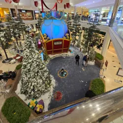 Twelve Oaks Mall (nearby) - Commerce