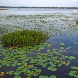 Walled Lake - Commerce