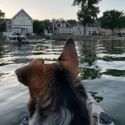 Walled Lake - Commerce