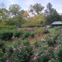 Henry Ford Estate (Fair Lane) - Dearborn