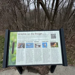 Rouge River Gateway Trail - Dearborn