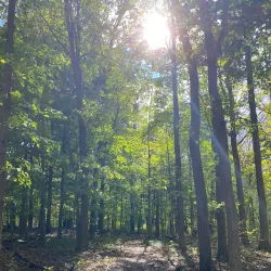 Rouge River Gateway Trail - Dearborn