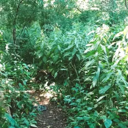 Rouge River Gateway Trail - Dearborn