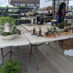 Eastern Market - Detroit