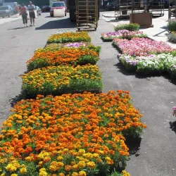 Eastern Market - Detroit