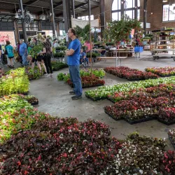 Eastern Market - Detroit