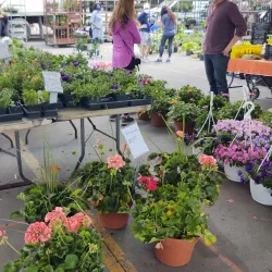 Eastern Market - Detroit