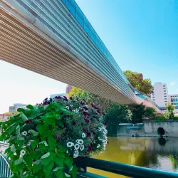 Downtown East Lansing - East Lansing